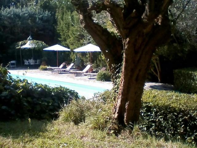 Villa Dall Acqua ペザロ エクステリア 写真