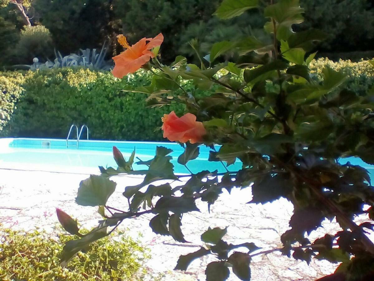 Villa Dall Acqua ペザロ エクステリア 写真