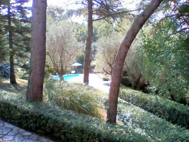 Villa Dall Acqua ペザロ エクステリア 写真